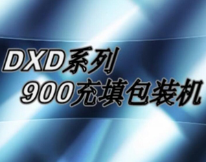 DXDK900多列颗粒包装机
